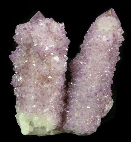 Cactus Quartz (Amethyst) Crystal - South Africa #44788